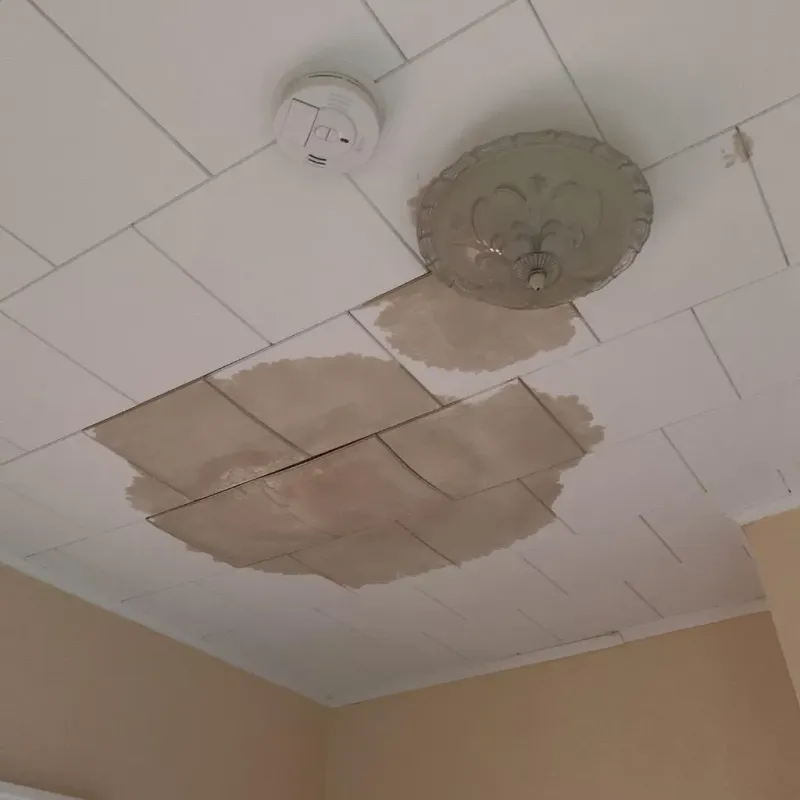 Ceiling Water Damage Repair in Williamson County, TN