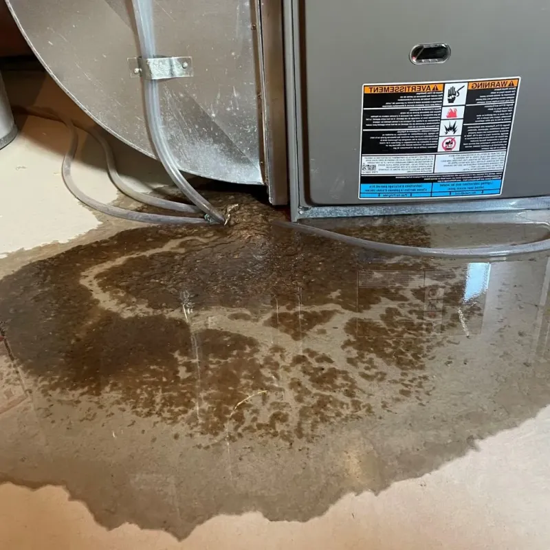 Pipe Burst and Leak Restoration in Williamson County, TN