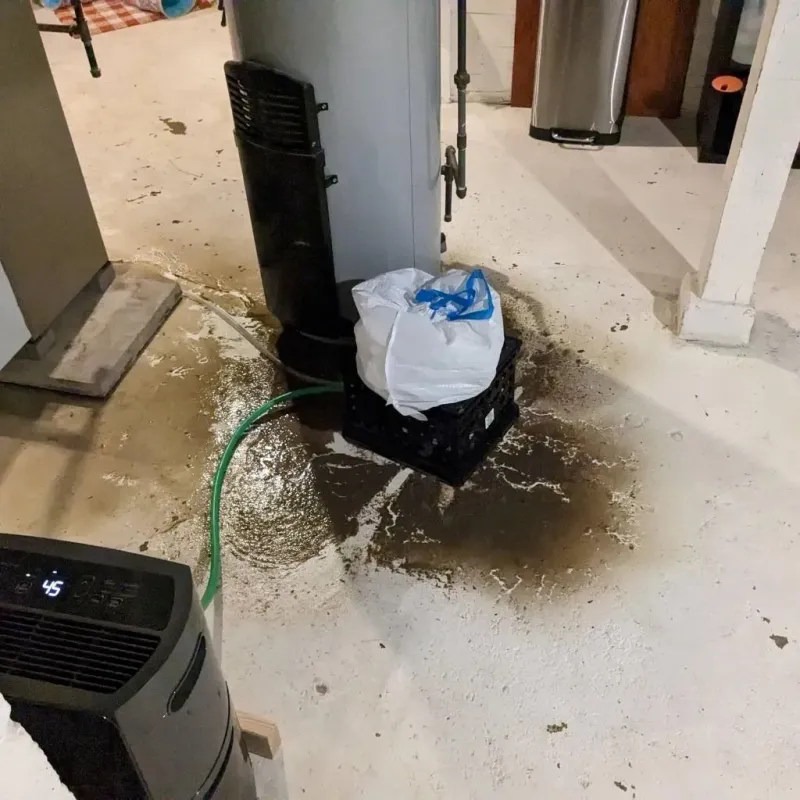 Sewage Backup Cleanup Service in Williamson County, TN